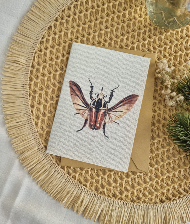 Felicitări - Felicitare