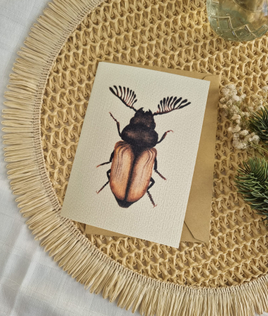 Papetărie - Felicitare