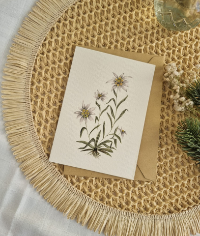 Felicitări - Felicitare