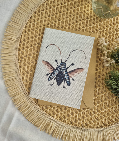 Felicitări - Felicitare