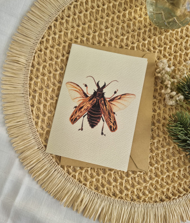 Felicitări - Felicitare