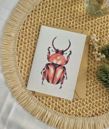 Felicitări - Felicitare