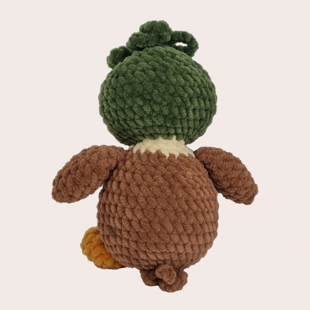 Rață sălbatică [2]