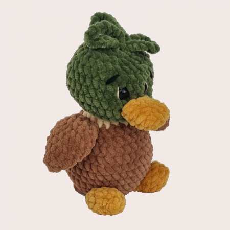 Rață sălbatică [1]