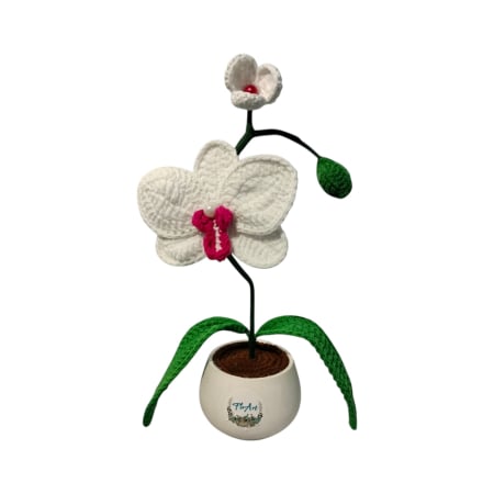 Flori crosetate - Orhidee mica