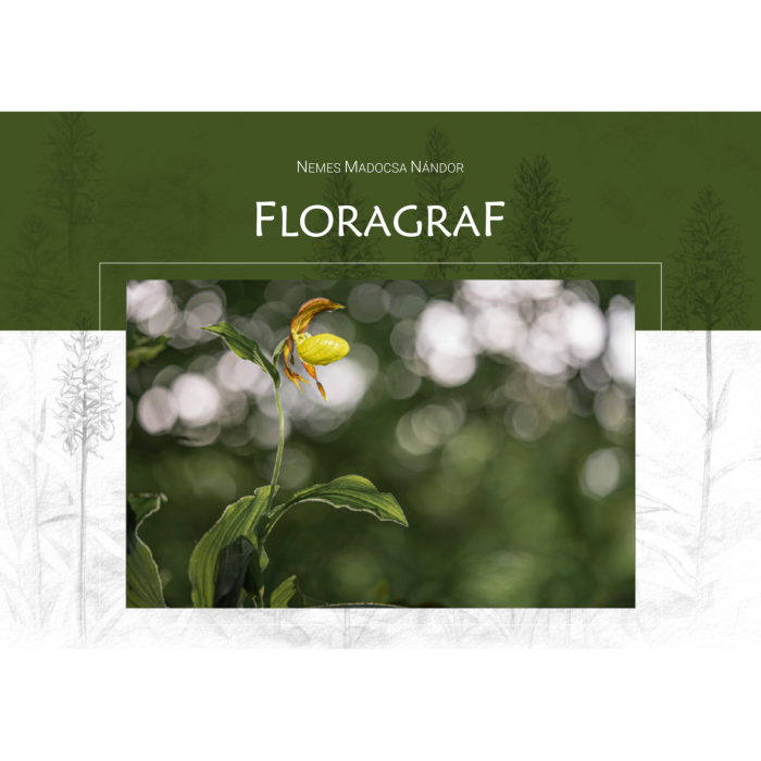 Album-Foto-Art-Floragraf-Petalele-Carpatilor-Nemes-Nandor-Orhidee-Salbatice [8]