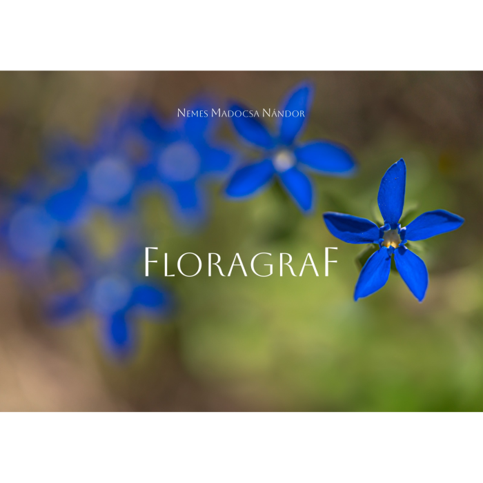 Album-Foto-Art-Floragraf-Petalele-Carpatilor-Nemes-Nandor-Orhidee-Salbatice [3]