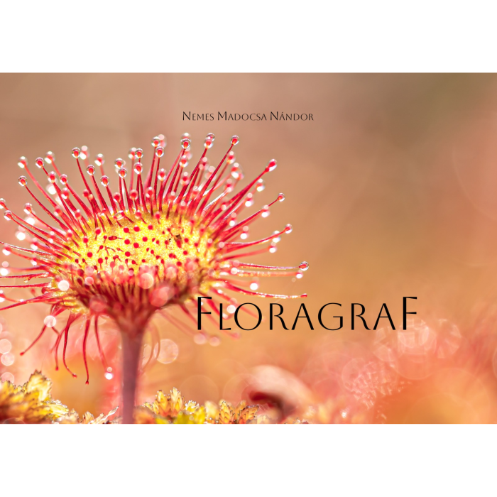 Album-Foto-Art-Floragraf-Petalele-Carpatilor-Nemes-Nandor-Orhidee-Salbatice [6]