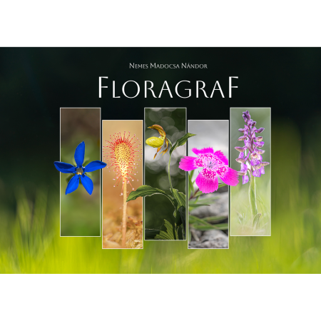 Produse - Album-Foto-Art-Floragraf-Petalele-Carpatilor-Nemes-Nandor-Orhidee-Salbatice