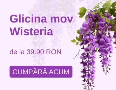 Banner Glicina - Mobile