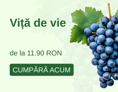 Banner Vita de Vie - Mobile