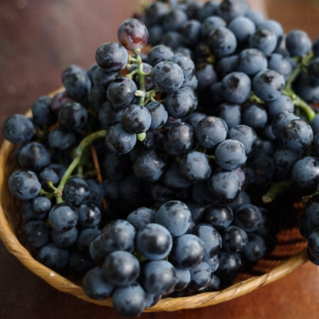 Viță de Vie Merlot - de Vin - Anul 2 [2]