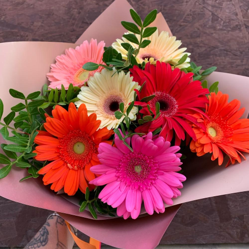 BUCHETE GERBERA