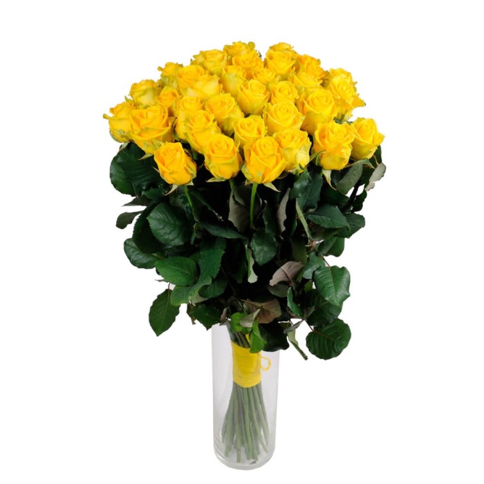 Buchet 35 trandafiri galbeni [1]