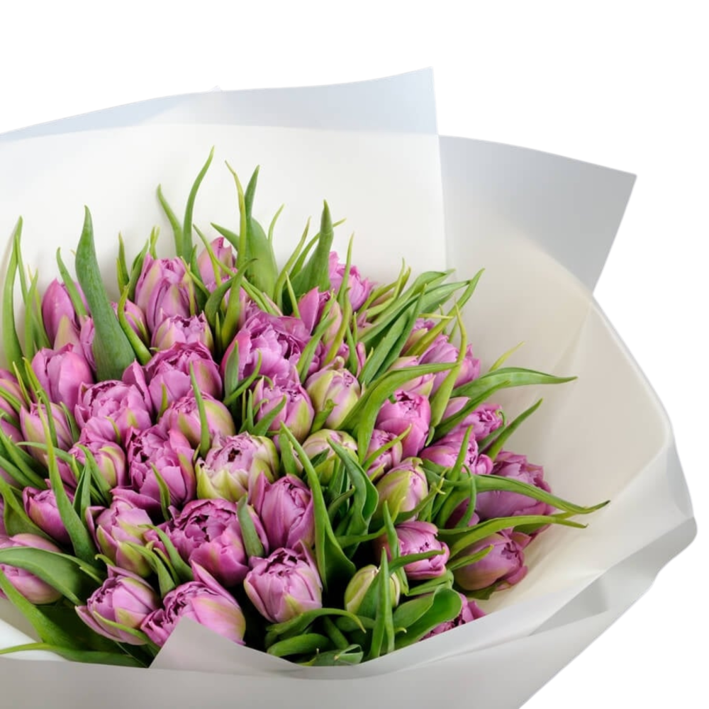 Buchet cu lalele mov [2]
