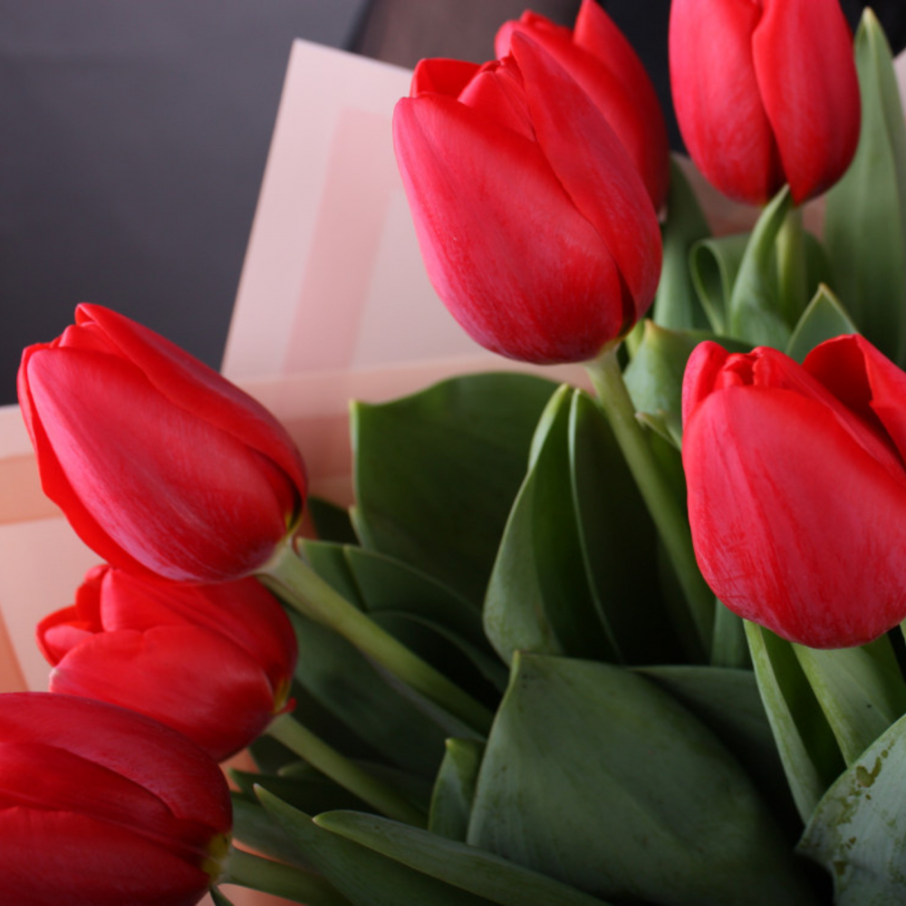 Buchet cu lalele roșii [2]