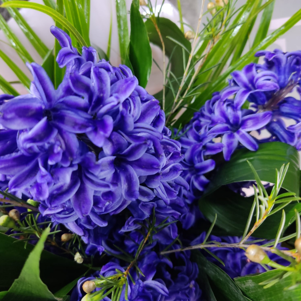 Buchet de zambile [2]