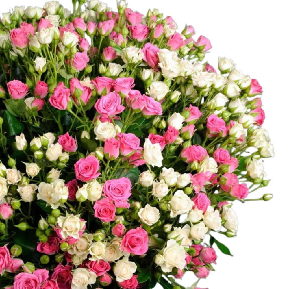 Buchet minirose albe și roz [2]