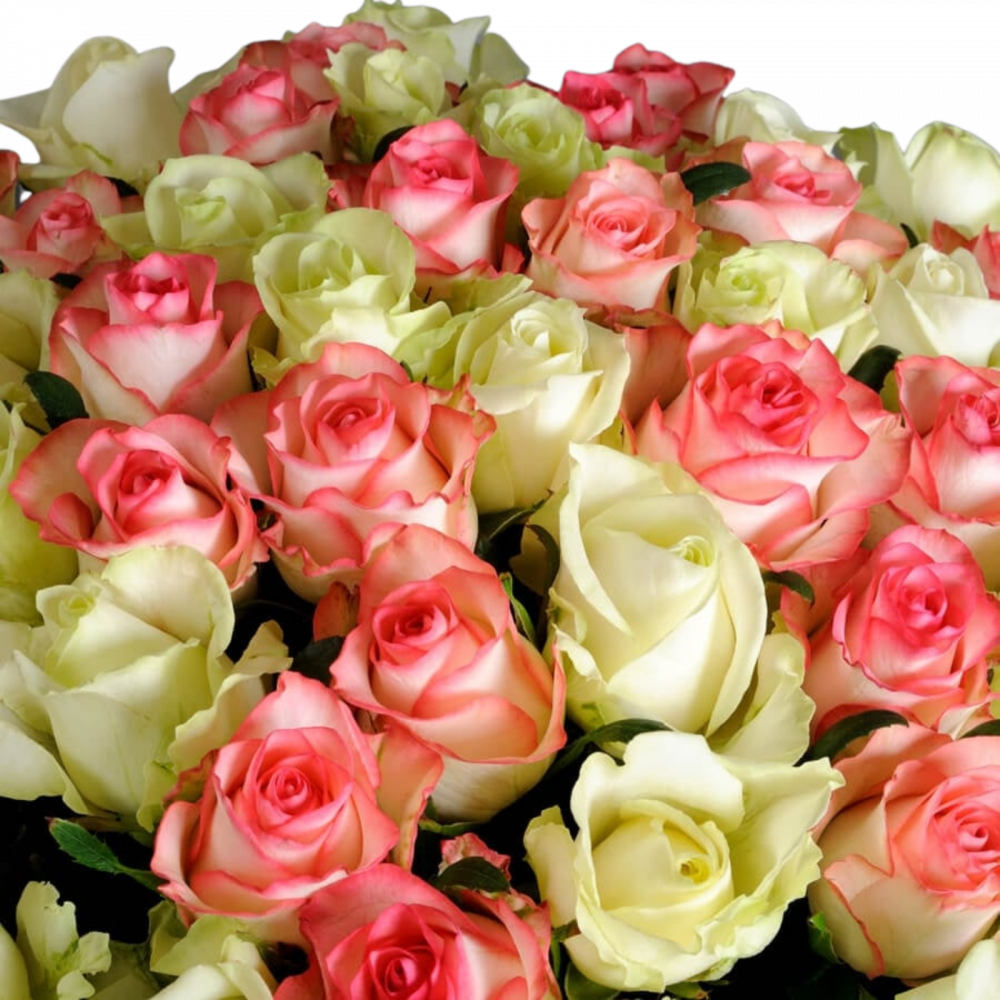 Buchet trandafiri albi și roz Blush [2]