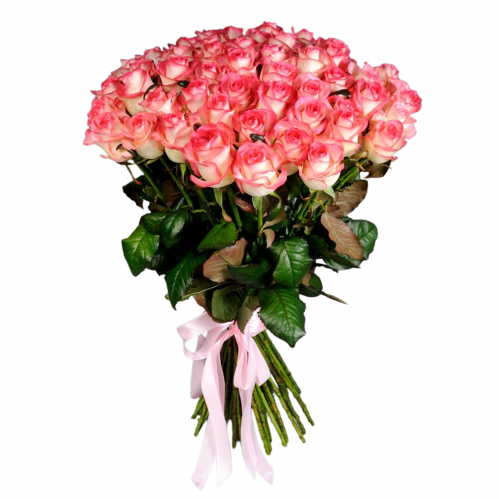 Buchet trandafiri Blush [1]