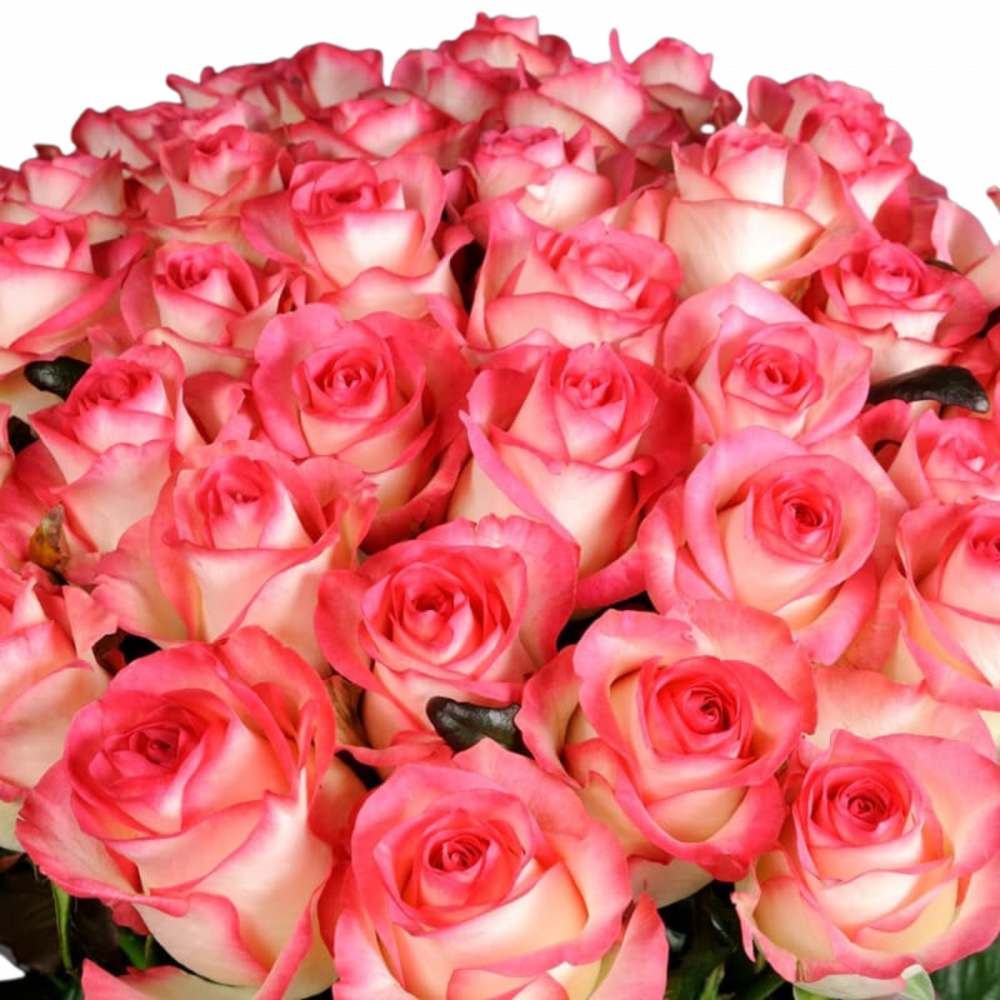Buchet trandafiri Blush [2]
