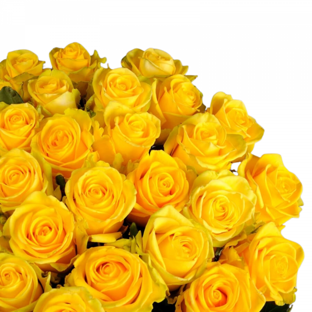 Buchet trandafiri galbeni [2]