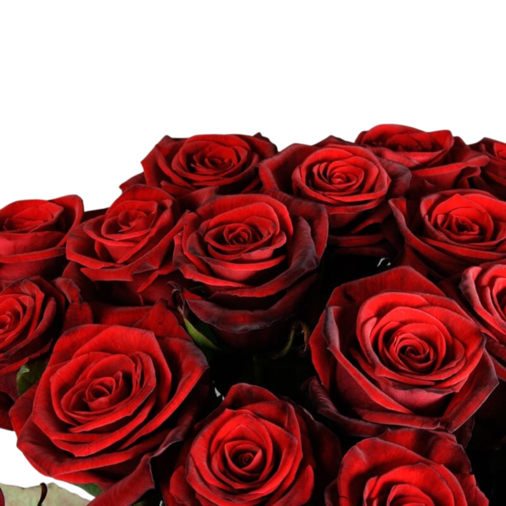 Buchet trandafiri roșii ”Great Love” [2]