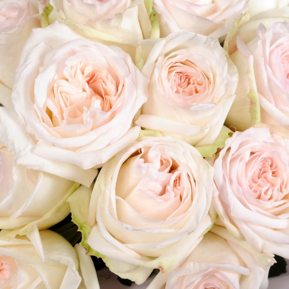 Buchet trandafiri roz pal [2]