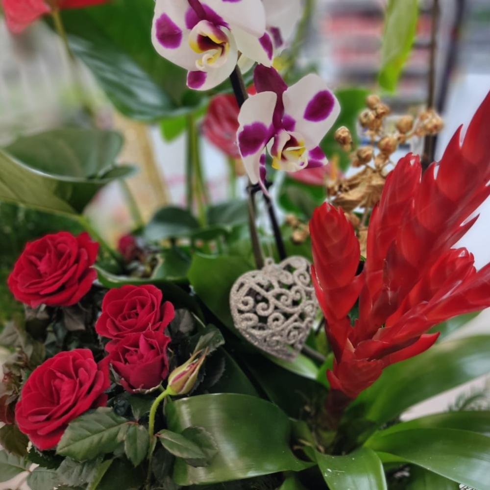 Compoziție DeLuxe Orhideea Phalaeanopsis, Anthurium, Vrisea, Minirosa și Brăduț [3]