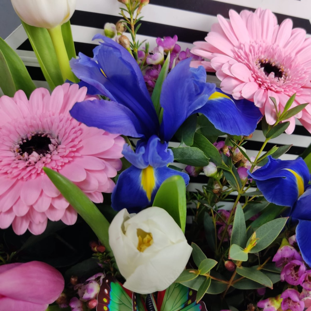 Compoziție tip plic cu lalele, iriși și minigerbera [2]