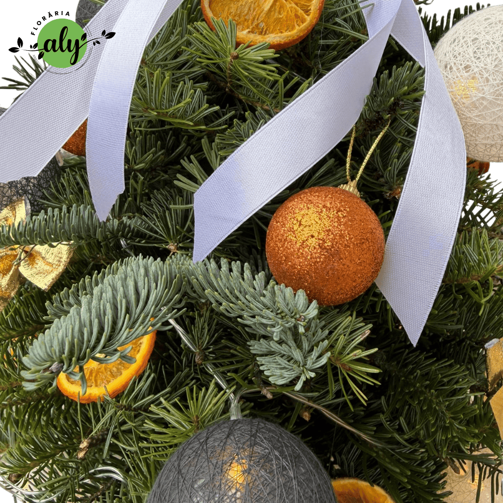 Brăduț de Crăciun decorat în vas [2]