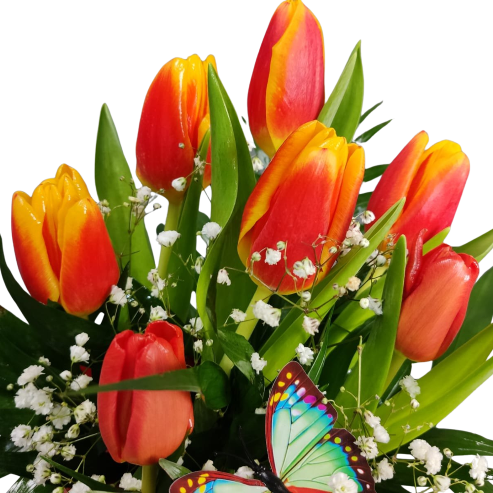 Cutie cilindru cu lalele și gypsophila [2]