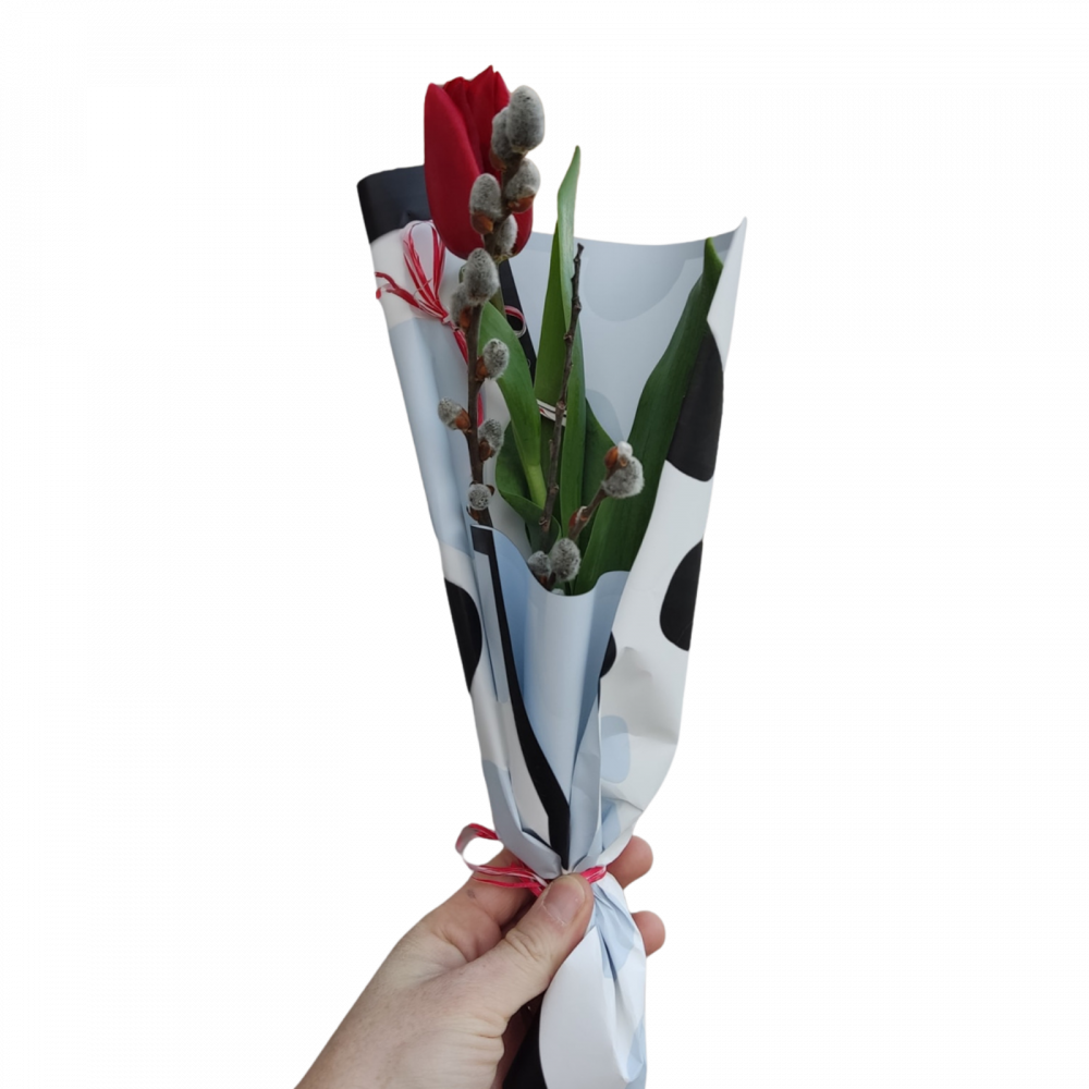 Mărțișor natural [3]