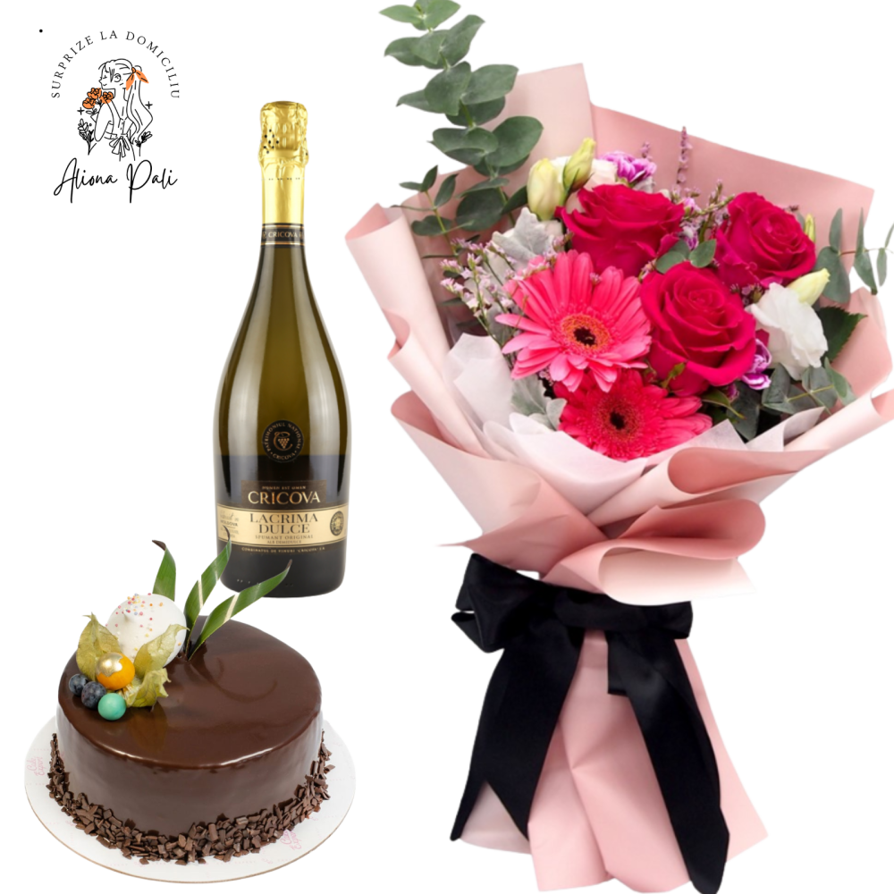 Surprize la domiciliu Pachet 4 [1]