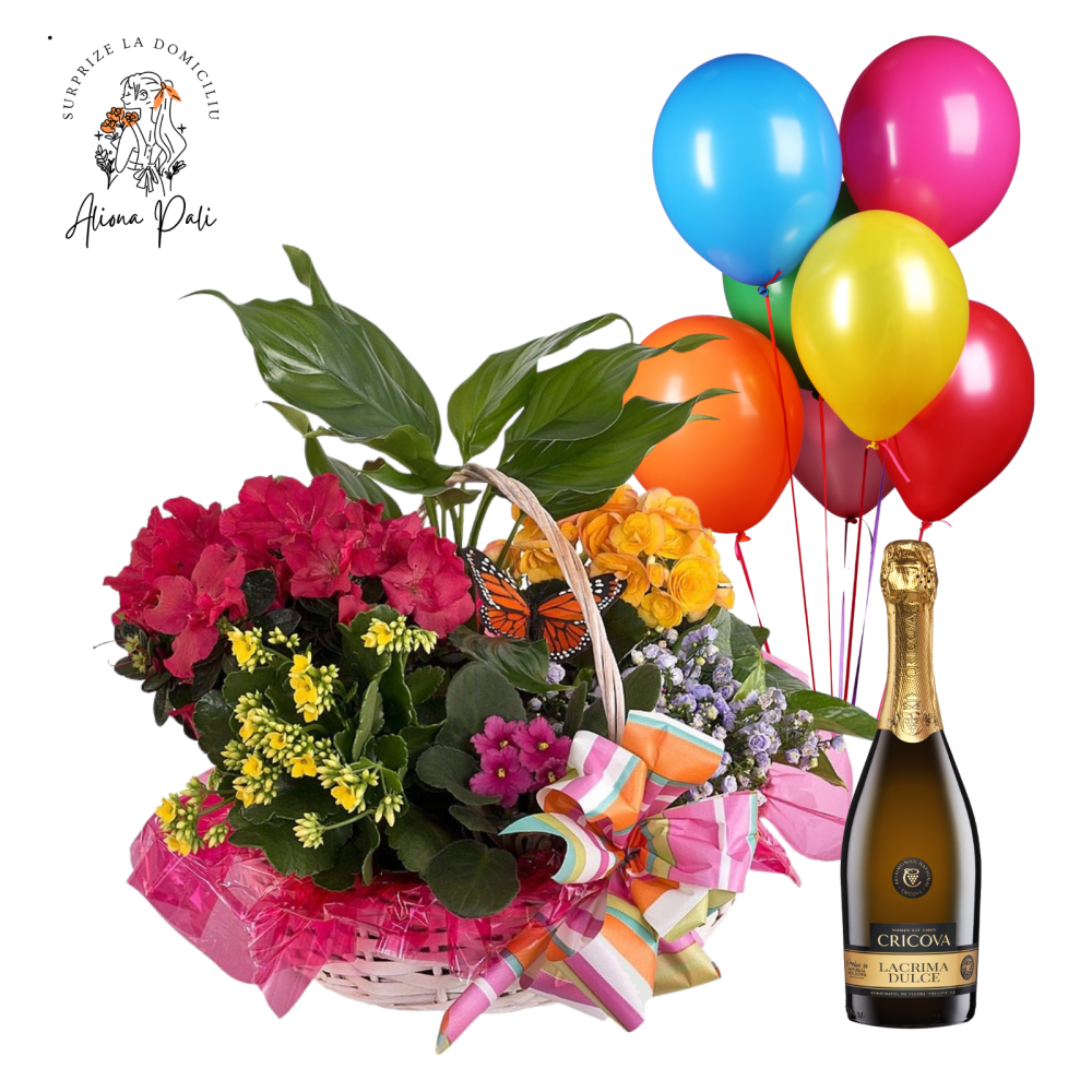 Surprize la domiciliu Pachet 11 [1]