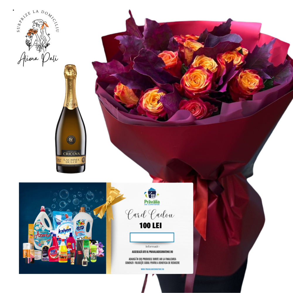 Surprize la domiciliu Pachet 9 [1]