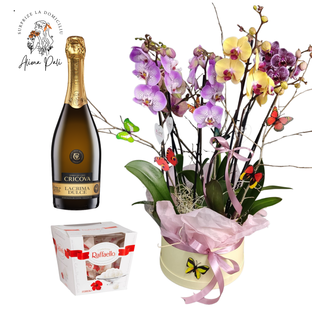 Surprize la domiciliu Pachet 15 [1]