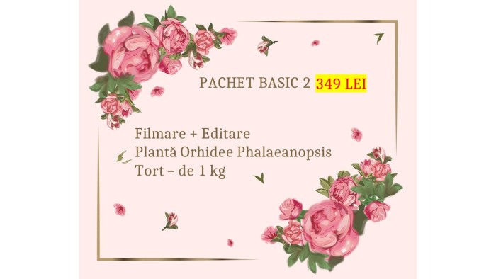 Surprize la domiciliu - Pachet BASIC 2 [1]