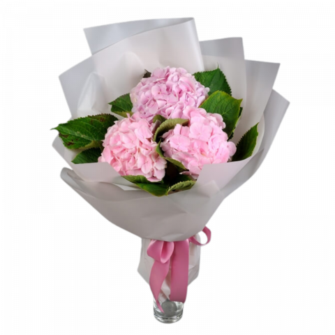 BUCHETE HORTENSIA - Buchet de hortensii roz