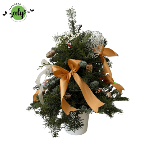 BRĂDUȚI DECORATIVI DE CRĂCIUN - Brăduț de Crăciun decorat în nuanțe de auriu, cu instalație