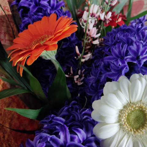 Buchet ”Aroma primăverii” zambile și minigerbera [1]