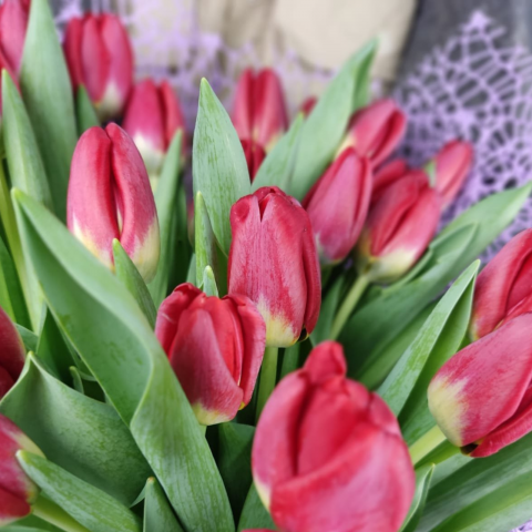 Buchet cu 25 lalele roșii și plasă dantelată [2]