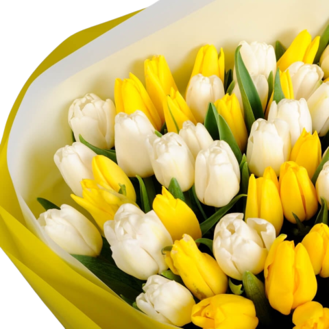 Buchet cu lalele albe și galbene [1]