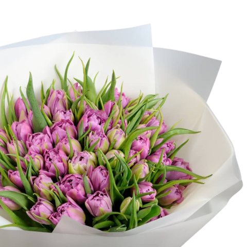 Buchet cu lalele mov [1]