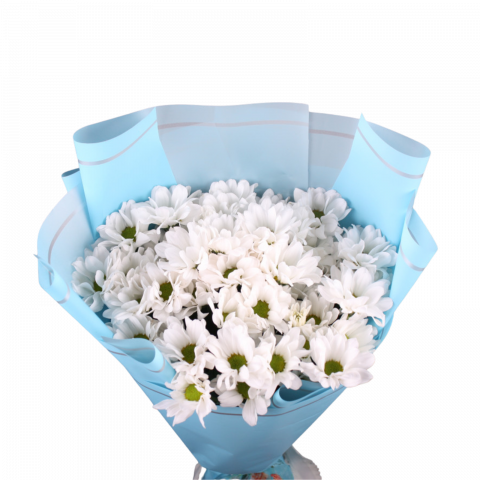 Buchet de crizanteme albe [1]