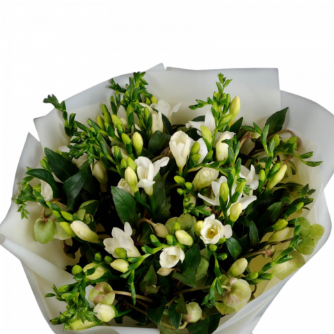 Buchet de frezii albe Eleganță & Rafinament [1]