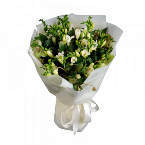 BUCHETE FREZII - Buchet de frezii albe Eleganță & Rafinament