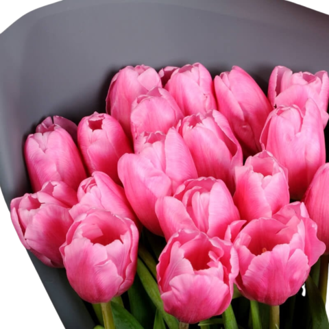 Buchet lalele cyclam [1]