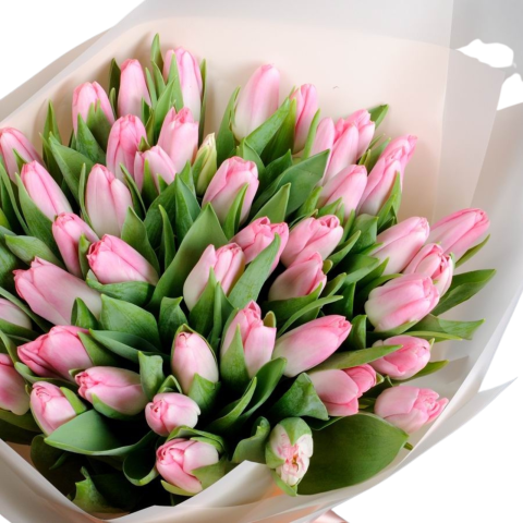 Buchet lalele roz [1]