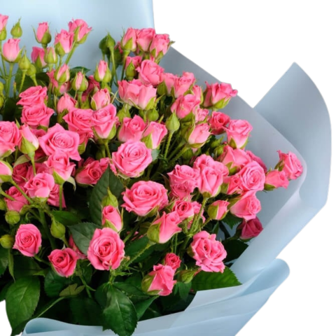 Buchet Minirose ”MiniPink” [1]